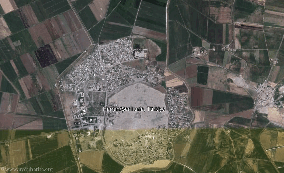 Harran uydu goruntusu Uydu Harita