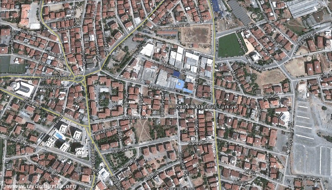 kartal uydu görüntüsü