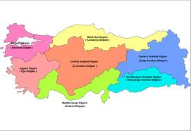 Turkiye Bolgeler Dilsiz Haritasi 1 Uydu Harita
